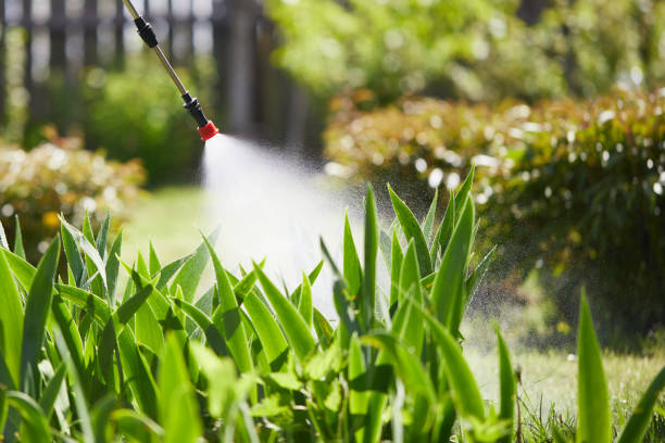 24/7 Emergency Mosquito Control experts in Stanton, KY